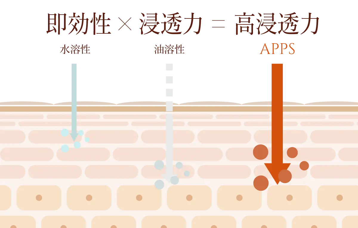 高浸透型ビタミンC誘導体(APPS)とは？