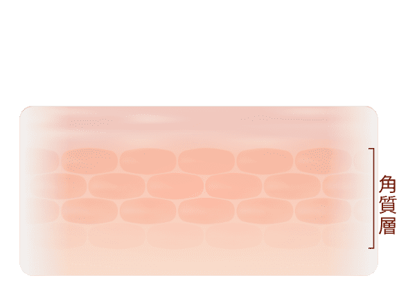 浸透力の図