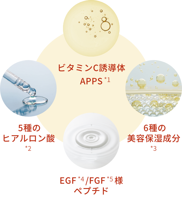 ビタミンC誘導体APPS、 5種のヒアルロン酸、 6種の美容保湿成分、EGF/FGF様ペプチド