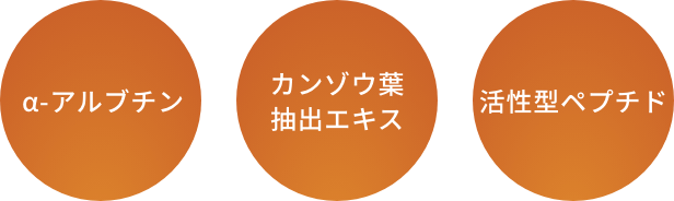 α-アルブチン カンゾウ葉抽出エキス 活性型ペプチド